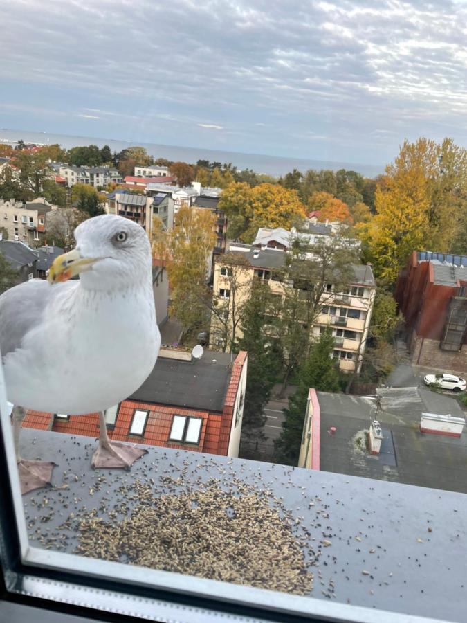 סופוט Apartament Karlikowska Z Widokiem Na Morze מראה חיצוני תמונה